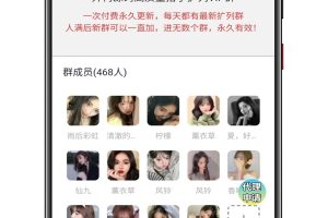 最新付费进群系统V5卡顿问题修复版源码