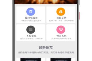 最新版源码站同款RiPro-V5主题源码