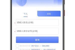 个人企业涉诉案底查询征信查询系统源码